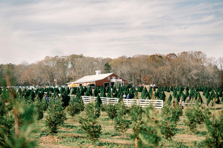 alt="Bottoms Christmas Tree Farm Family Outing Noi Tran Photography"