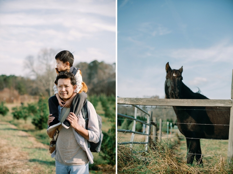 alt="Bottoms Christmas Tree Farm Family Outing Noi Tran Photography"